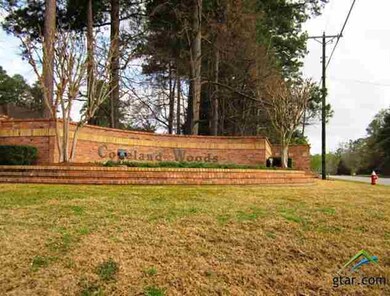 1417 Covewood Dr, Tyler, TX 75703 - photo 3