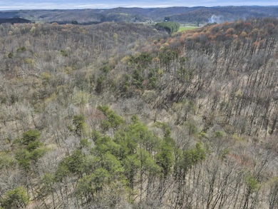 11-web-or-mls-DJI_0367