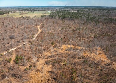 DJI_20240321134507_0123_D