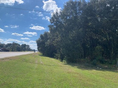 1905 Liberty Expy SE, Bridgeboro, GA 31705 - photo 4