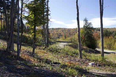 Lot 5/6 Garden Loop Rd unit 5 & 6, Winhall, VT 05340 - photo 3