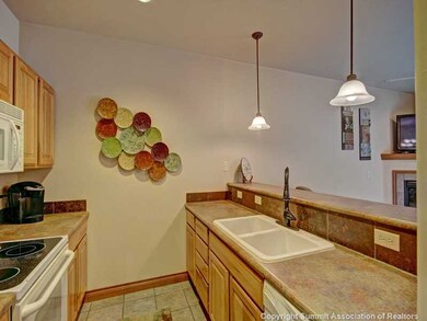 801 Lakepoint Dr unit 5, Frisco, CO 80443 - photo 4