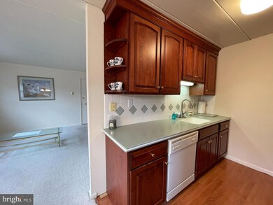 1 Radnor Dr unit C2, Newtown Square, PA 19073 - photo 7