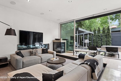 1180 Dale Ave unit 2, Aspen, CO 81611 - photo 5