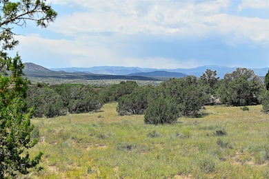 10 Cloudview Ct, Santa Fe, NM 87506 - photo 5