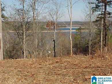 LOT # 20 Overlook Dr, Wedowee, AL 36278 - photo 6