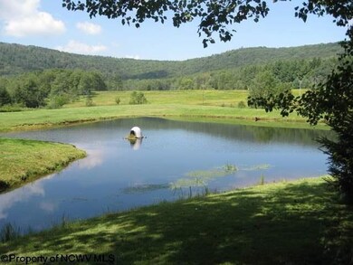 Lot 2 Northlake Development Dr, Davis, WV 26260 - photo 4