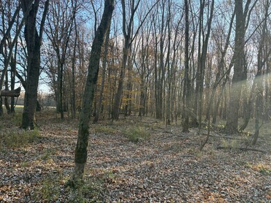 0 Levee Rd unit 11610894, Velpen, IN 47590 - photo 4