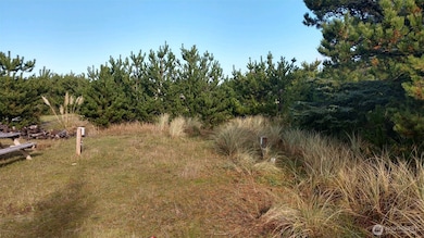 31911 I St, Ocean Park, WA 98640 - photo 6