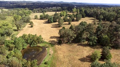 0 Farm Road 2100, Jenkins Township, MO 65605 - photo 2