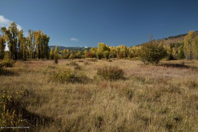 6 BE Fall Morning Meadow Looking South