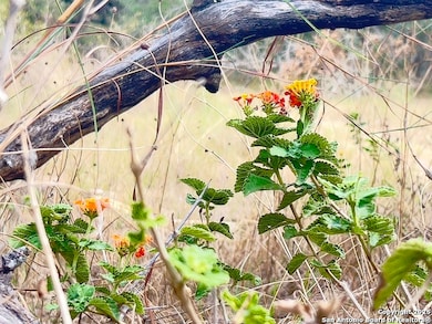 TBD County Road 6813, Natalia, TX 78059 - photo 6