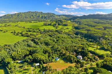 4821 Waiakalua St, Kilauea, HI 96754 - photo 7