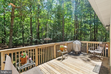 513 Chisholm Trail, Lusby, MD 20657 - photo 6