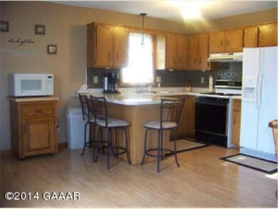 302 Erickson Heritage NE, Alexandria, MN 56308 - photo 4