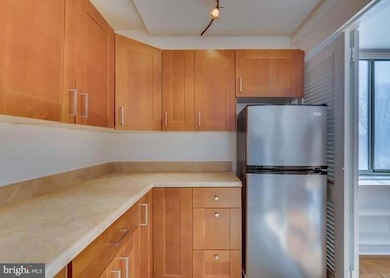 1111 Arlington Blvd unit 601, Arlington, VA 22209 - photo 4
