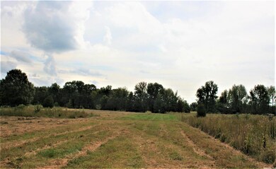 14.35 Acres + - Cr 766, Jonesboro, AR 72405 - photo 4