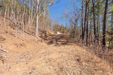 TBD Indigo Rd, Christiansburg, VA 24073 - photo 5