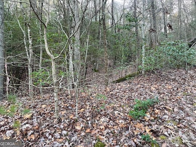 4 Villa Weg, Helen, GA 30545 - photo 6