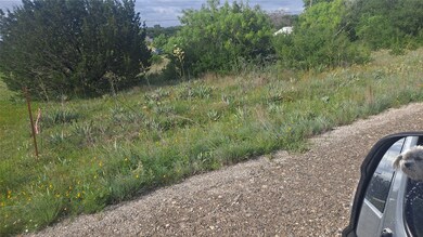 0 Donegal Dr, Lake Brownwood, TX 76801 - photo 3