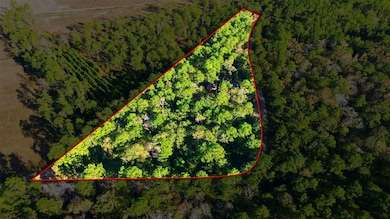 525 Bill Hales Rd, Willis, TX 77378 - photo 3