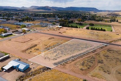 002. Lot #10 - Southwest View - Aerial