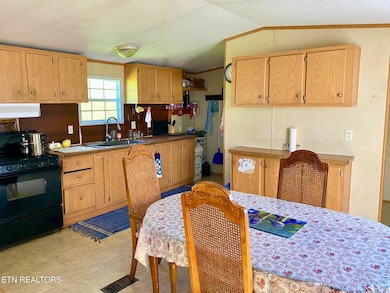 215 Central Ave, Lancing, TN 37770 - photo 7