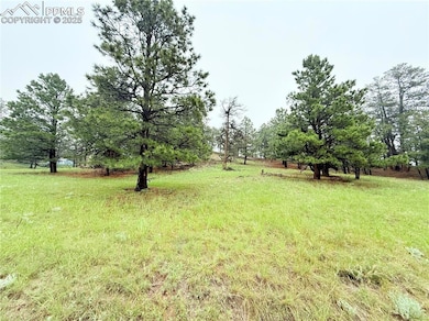 View of yard featuring a view of rural / pastoral area