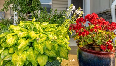 867 S Center Park Dr SW unit 19, Byron Center, MI 49315 - photo 4