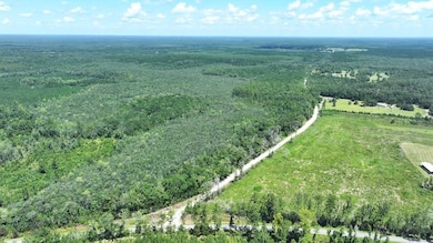 Xx Baron Rd unit LotWP002, Bonifay, FL 32427 - photo 5