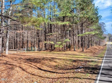 0 Tommie Daniel Rd, Oxford, NC 27565 - photo 3