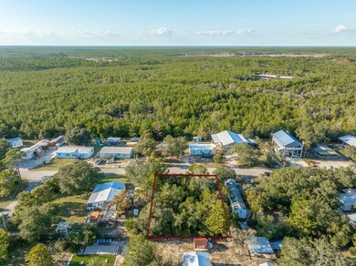 2202 Kentucky Ave, Lanark Village, FL 32323 - photo 5