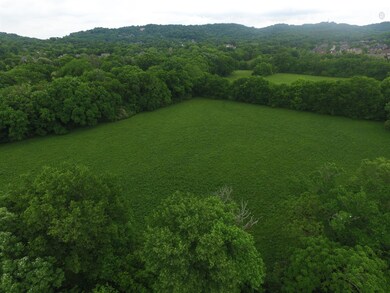 1249 Sneed Rd W, Franklin, TN 37069 - photo 7