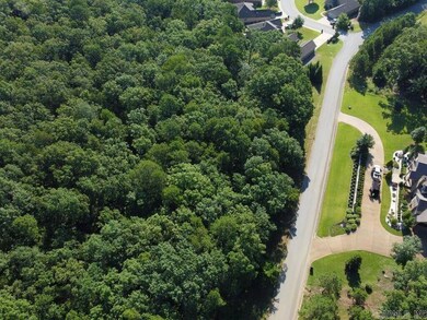 0 Mountain Ridge Rd unit 25029197, Batesville, AR 72501 - photo 6