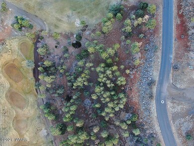 3400 Sage Ln, Show Low, AZ 85901 - photo 5