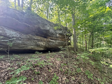 0 Hwy 1050 unit 25016644, Jeffersonville, KY 40337 - photo 5