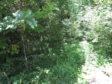 2.20 ac Buck Mountain Rd, Cookeville, TN 38506 - photo 7