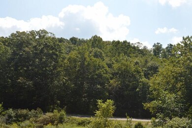 DSC_0302 (800x532)