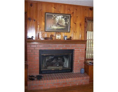 Other. FIREPLACE WITH PROPANE LOGS.