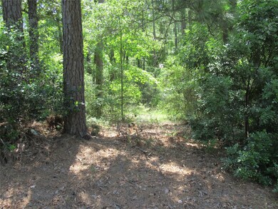 337 Noel, Cedar Point, TX 77351 - photo 2