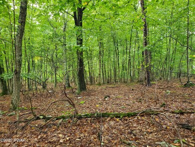 157 Apple Dr, Milford, PA Selec - photo 7