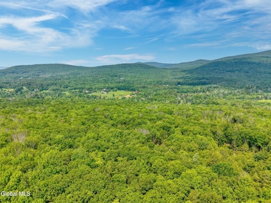 TBD Boulder Brook Rd unit Lot 8, Windham, NY 12496 - photo 4