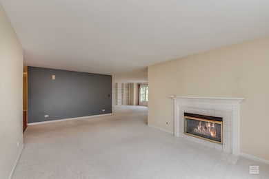 1515 Orchard Cir unit 2902, Naperville, IL 60565 - photo 6