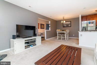 400 Plumbridge Ct unit 202, Lutherville Timonium, MD 21093 - photo 5