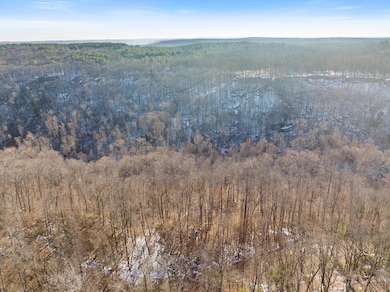 05-DJI_20250115094729_0103_D