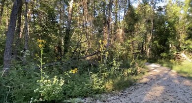 14 Blue Creek Estates, Somerset, KY 42501 - photo 7