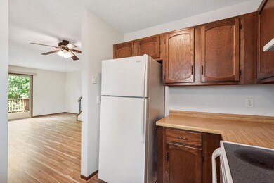 1635 N Brenner Pass, Minneapolis, MN 55432 - photo 7