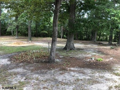 1401 Woodbine Rd, Woodbine, NJ 08270 - photo 6