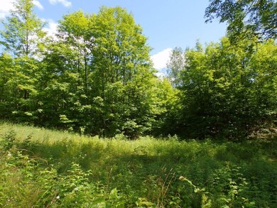 P7160025