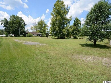 3655 Highway 19, Conway, SC 29526 - photo 3